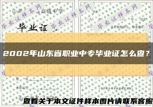 2002年山東省職業中專畢業證怎么查？縮略圖
