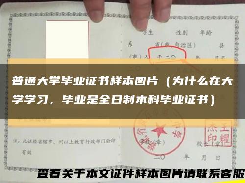 普通大學畢業證書樣本圖片（為什么在大學學習，畢業是全日制本科畢業證書）縮略圖