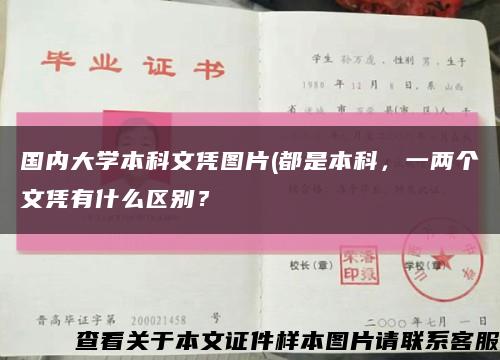 國內大學本科文憑圖片(都是本科，一兩個文憑有什么區別？縮略圖