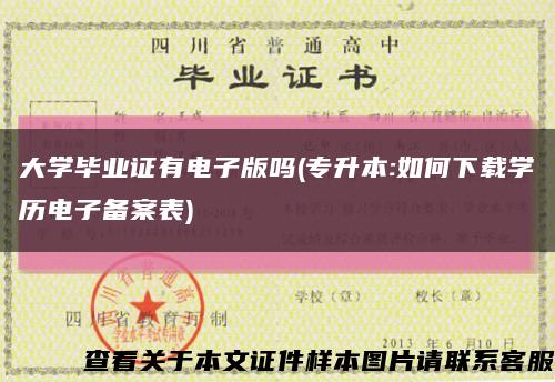 大學畢業證有電子版嗎(專升本:如何下載學歷電子備案表)縮略圖