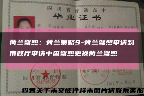 荷蘭駕照：荷蘭策略9-荷蘭駕照申請到市政廳申請中國駕照更換荷蘭駕照縮略圖