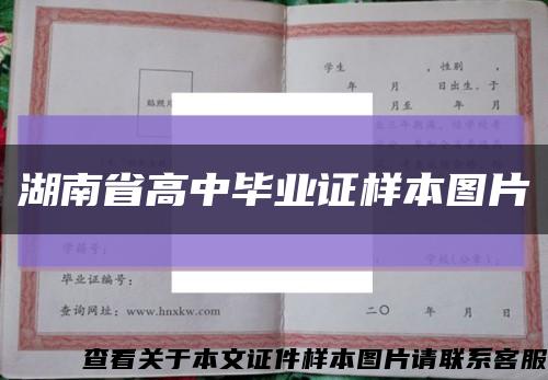 湖南省高中畢業證樣本圖片縮略圖