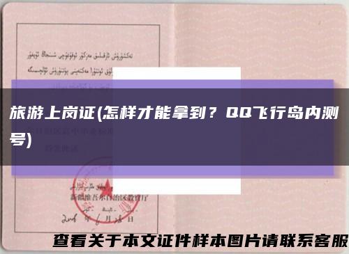 旅游上崗證(怎樣才能拿到？QQ飛行島內測號)縮略圖