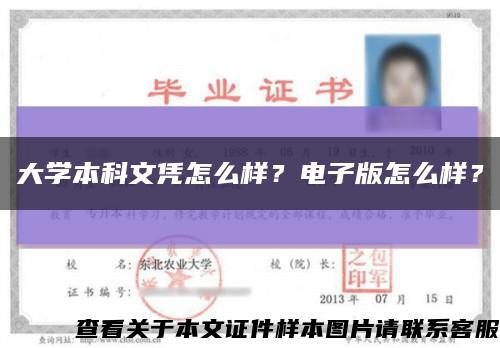 大學本科文憑怎么樣？電子版怎么樣？縮略圖