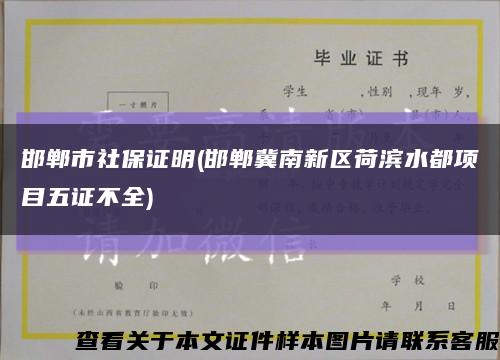 邯鄲市社保證明(邯鄲冀南新區荷濱水都項目五證不全)縮略圖