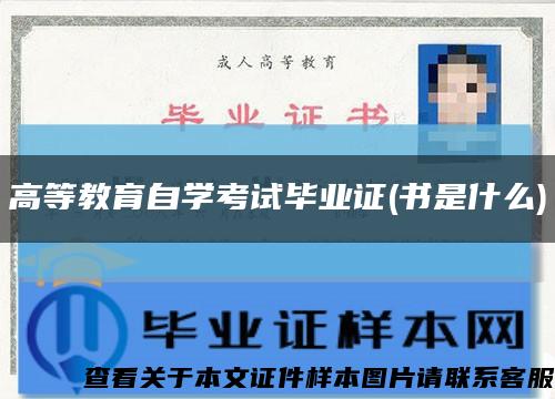 高等教育自學考試畢業證(書是什么)縮略圖