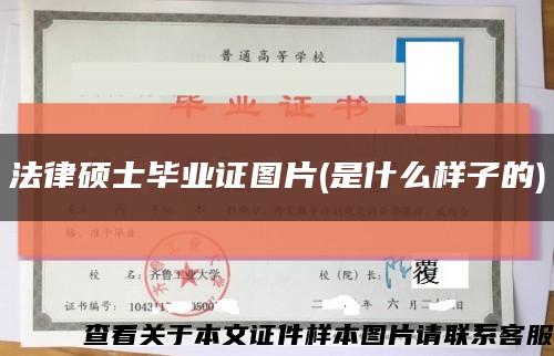 法律碩士畢業證圖片(是什么樣子的)縮略圖