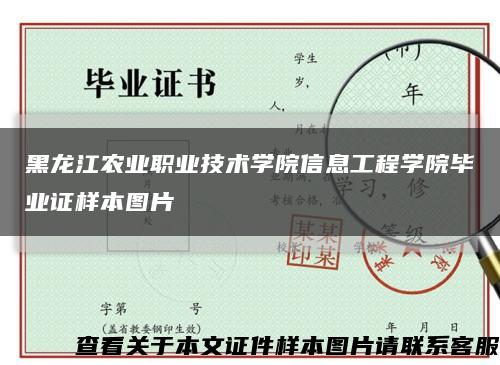 黑龍江農業職業技術學院信息工程學院畢業證樣本圖片縮略圖