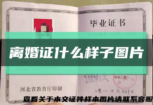 離婚證什么樣子圖片縮略圖