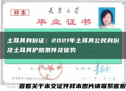 土耳其身份證：2021年土耳其公民身份及土耳其護照條件及優勢縮略圖