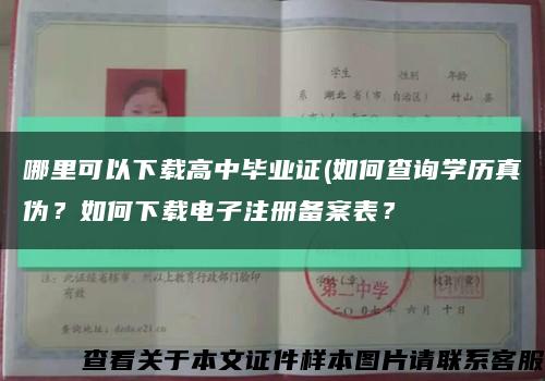 哪里可以下載高中畢業證(如何查詢學歷真偽？如何下載電子注冊備案表？縮略圖