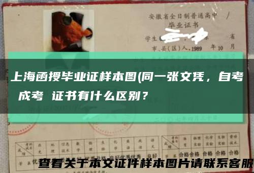 上海函授畢業證樣本圖(同一張文憑，自考 成考 證書有什么區別？縮略圖