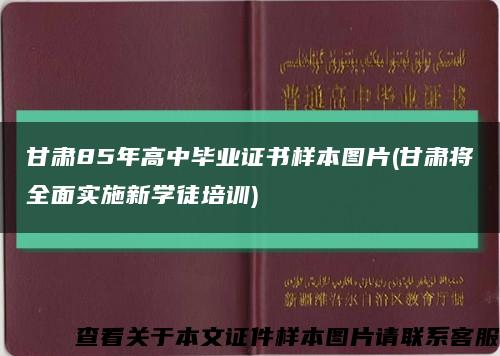 甘肅85年高中畢業證書樣本圖片(甘肅將全面實施新學徒培訓)縮略圖