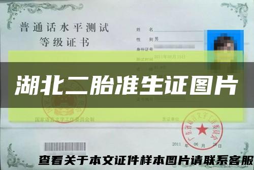 湖北二胎準生證圖片縮略圖