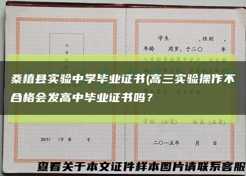 桑植縣實驗中學畢業證書(高三實驗操作不合格會發高中畢業證書嗎？縮略圖