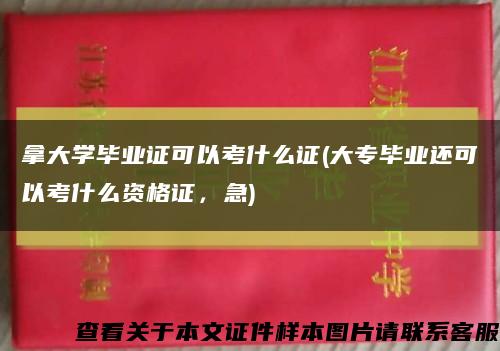 拿大學畢業證可以考什么證(大專畢業還可以考什么資格證，急)縮略圖