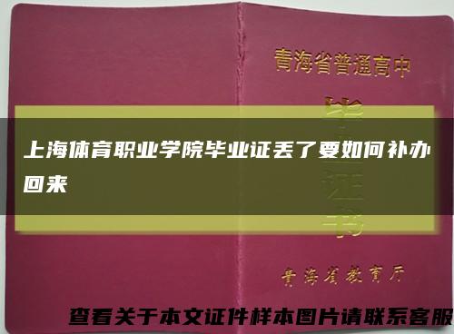 上海體育職業學院畢業證丟了要如何補辦回來縮略圖