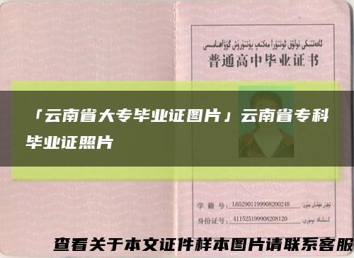 「云南省大專畢業證圖片」云南省?？飘厴I證照片縮略圖