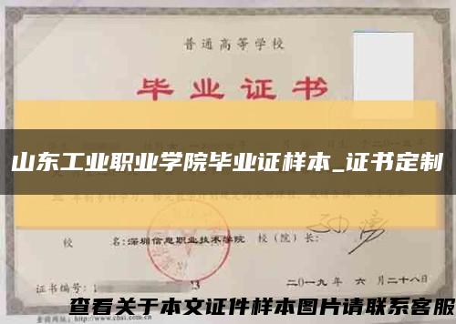 山東工業職業學院畢業證樣本_證書定制縮略圖