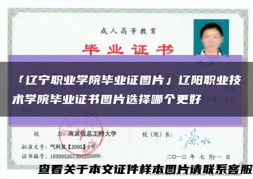 「遼寧職業學院畢業證圖片」遼陽職業技術學院畢業證書圖片選擇哪個更好縮略圖