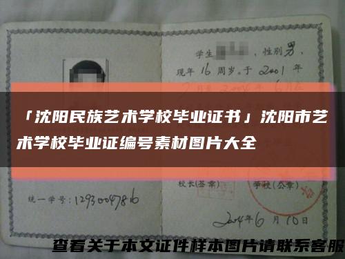 「沈陽民族藝術學校畢業證書」沈陽市藝術學校畢業證編號素材圖片大全縮略圖