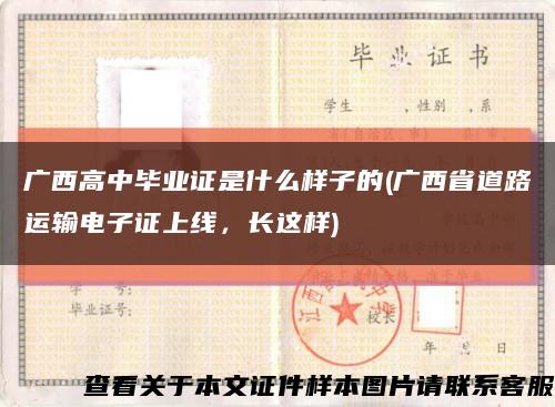 廣西高中畢業證是什么樣子的(廣西省道路運輸電子證上線，長這樣)縮略圖
