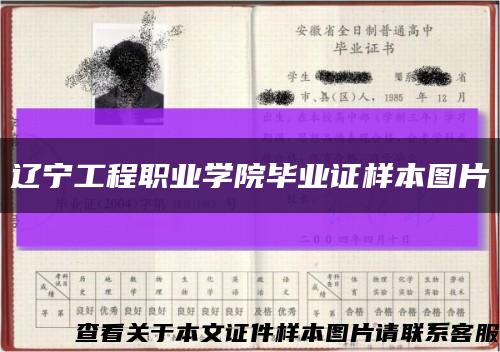 遼寧工程職業學院畢業證樣本圖片縮略圖