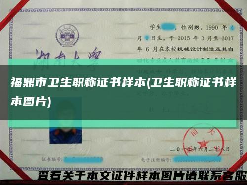福鼎市衛生職稱證書樣本(衛生職稱證書樣本圖片)縮略圖