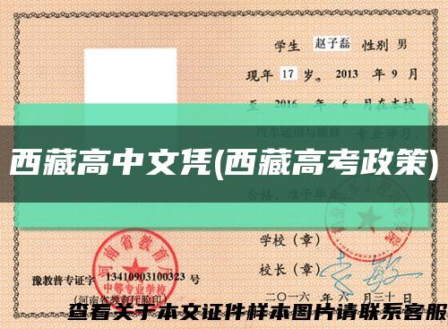 西藏高中文憑(西藏高考政策)縮略圖