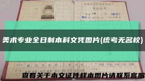 美術專業全日制本科文憑圖片(統考無名校)縮略圖