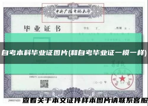 自考本科畢業證圖片(和自考畢業證一模一樣)縮略圖