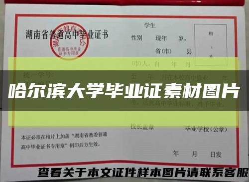 哈爾濱大學畢業證素材圖片縮略圖