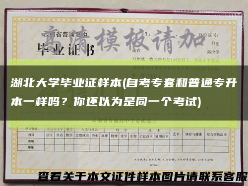 湖北大學畢業證樣本(自考專套和普通專升本一樣嗎？你還以為是同一個考試)縮略圖