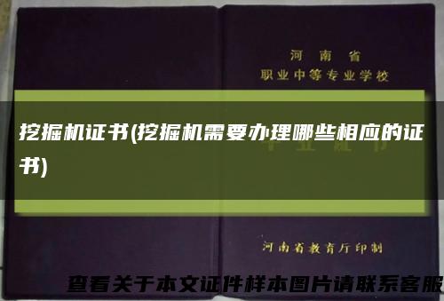 挖掘機證書(挖掘機需要辦理哪些相應的證書)縮略圖