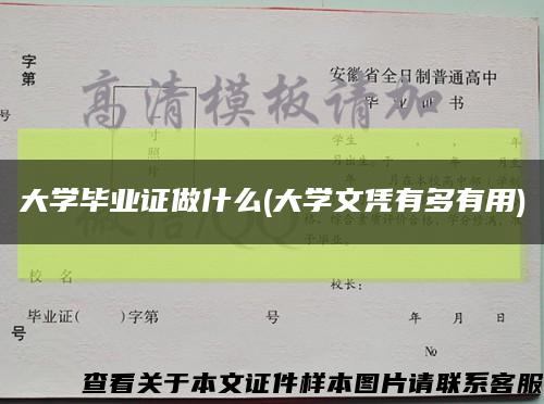 大學畢業證做什么(大學文憑有多有用)縮略圖