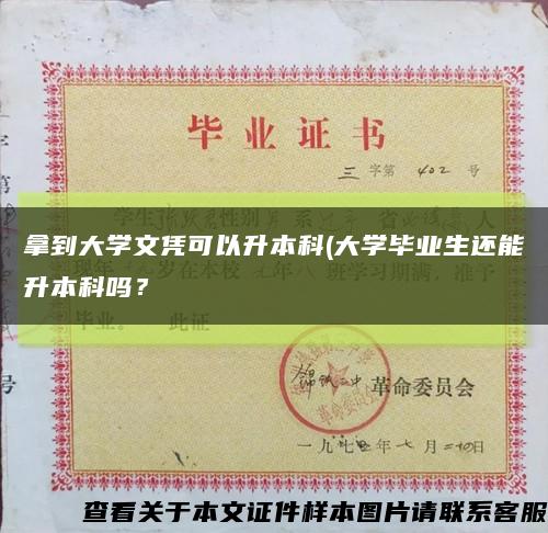 拿到大學文憑可以升本科(大學畢業生還能升本科嗎？縮略圖