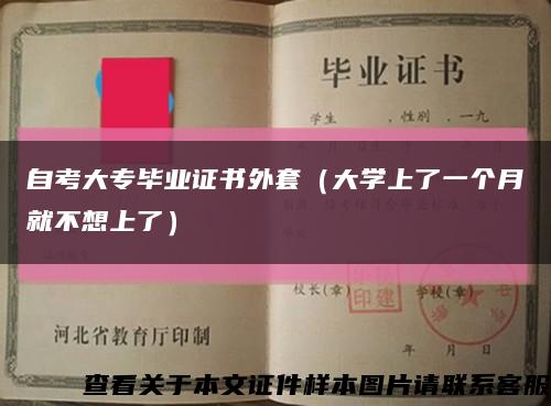 自考大專畢業證書外套（大學上了一個月就不想上了）縮略圖