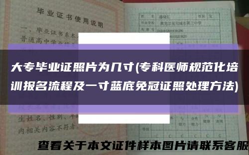 大專畢業證照片為幾寸(?？漆t師規范化培訓報名流程及一寸藍底免冠證照處理方法)縮略圖
