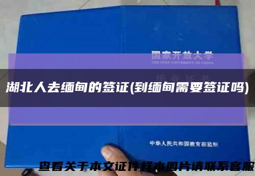 湖北人去緬甸的簽證(到緬甸需要簽證嗎)縮略圖