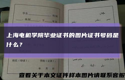 上海電機學院畢業證書的圖片證書號碼是什么？縮略圖