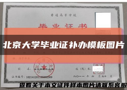 北京大學畢業證補辦模板圖片縮略圖