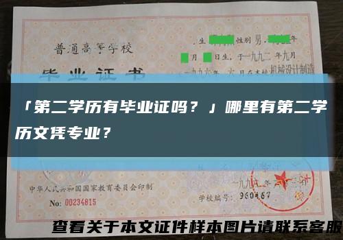 「第二學歷有畢業證嗎？」哪里有第二學歷文憑專業？縮略圖