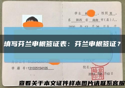 填寫芬蘭申根簽證表：芬蘭申根簽證？縮略圖