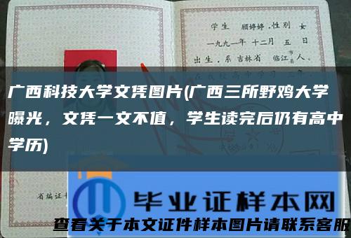廣西科技大學文憑圖片(廣西三所野雞大學曝光，文憑一文不值，學生讀完后仍有高中學歷)縮略圖