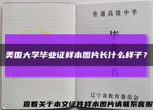 美國大學畢業證樣本圖片長什么樣子？縮略圖