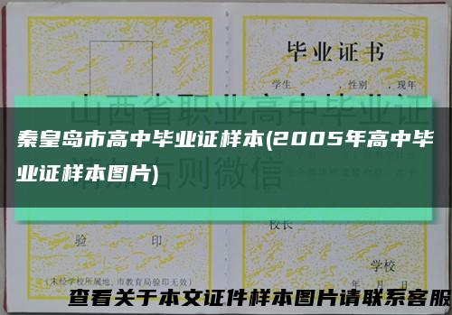 秦皇島市高中畢業證樣本(2005年高中畢業證樣本圖片)縮略圖