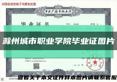 滁州城市職業學院畢業證圖片縮略圖