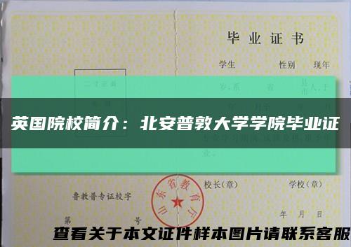 英國院校簡介：北安普敦大學學院畢業證縮略圖