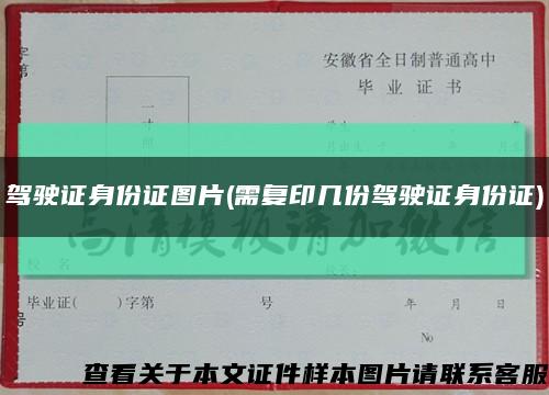駕駛證身份證圖片(需復印幾份駕駛證身份證)縮略圖