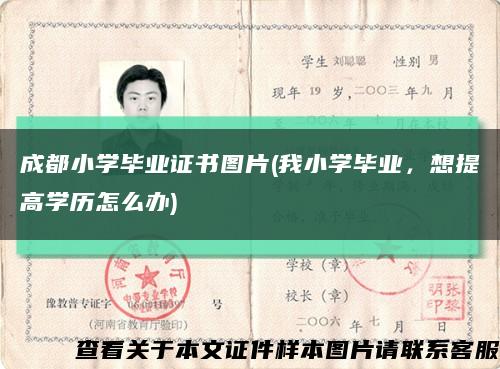 成都小學畢業證書圖片(我小學畢業，想提高學歷怎么辦)縮略圖